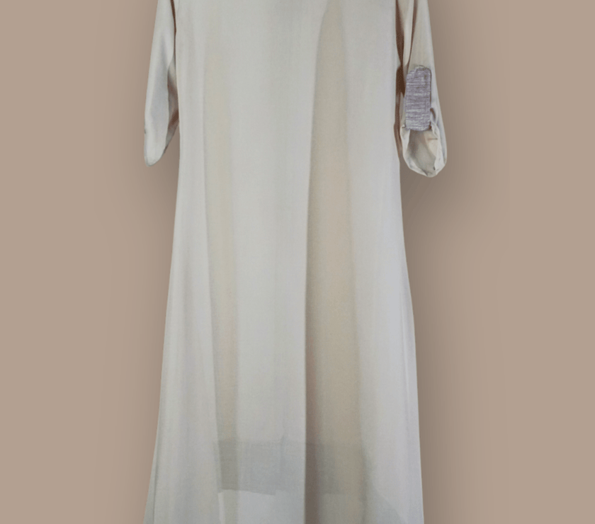 Sheer Dress 0007
